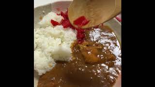 レトルトカレー　美味しい  博多 華味鳥 チキンカレー 中辛