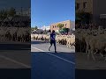Cedar City Sheep Parade - near Panguitch, Utah - October 2023