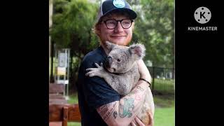 Ed Sheeran - Don’t 8D Audio 🎧