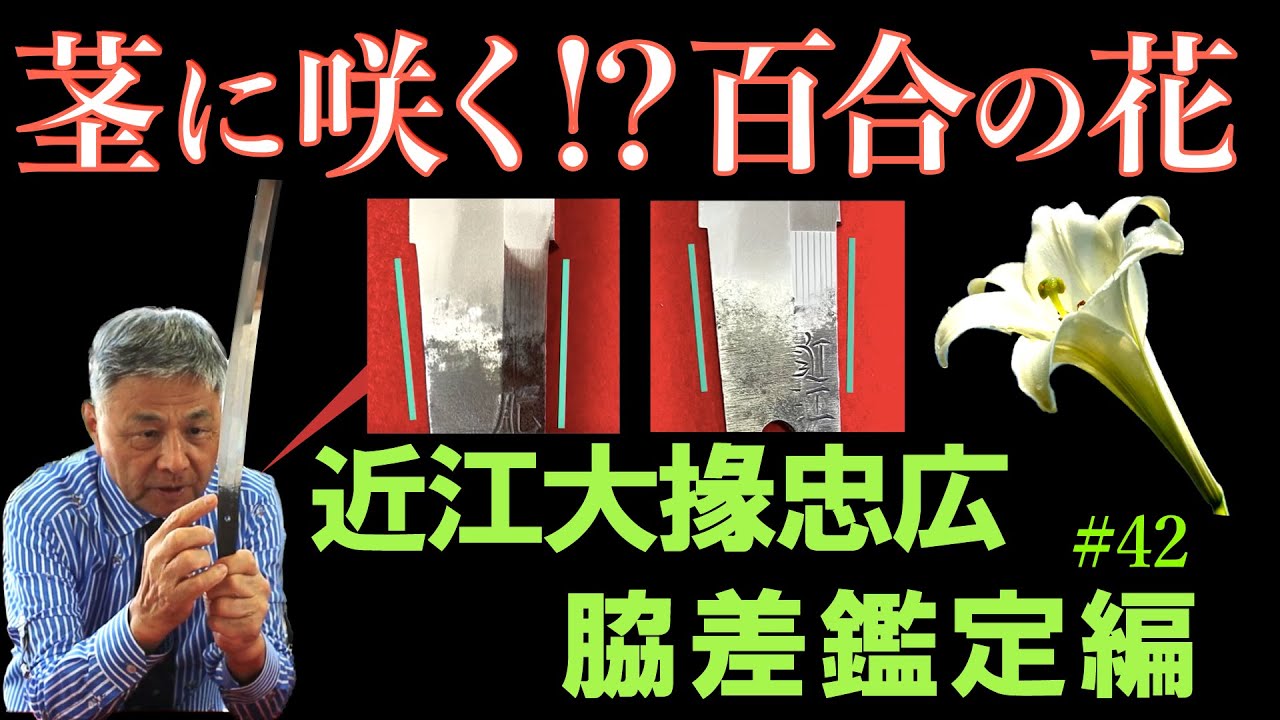 ＃42 【日本刀専門店 銀座長州屋】茎に咲く！？ 百合の花　近江大掾忠広　脇差鑑定編