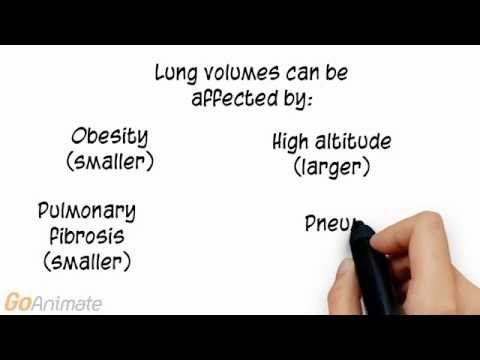 lung capacities and the anatomy and Anatomy of the lungs when the body requires greater volumes of air entering the lungs, such as during exercise, the bronchioles dilate to permit greater. lung capacities and the anatomy and Anatomy of the lungs when the body requires greater volumes of air entering the lungs, such as during exercise, the bronchioles dilate to permit greater.