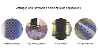 V0001 - Fluid injection into a viscoplastic fluid
