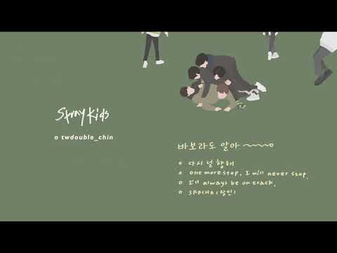 [韓繁中字] Stray Kids (스트레이 키즈) -  바보라도 알아 (Mixtape：On track) | 가사/Lyrics/歌詞 Audio