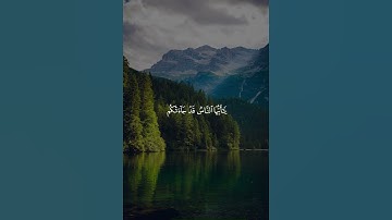 وشفاء لما في الصدور قرآن كريم القارئ عبد الرحمن مسعد  #تلاوة_خاشعة #قرآن #تلاوة_عذبة
