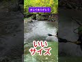 【渓流釣り】まじでありがとう。#釣り
