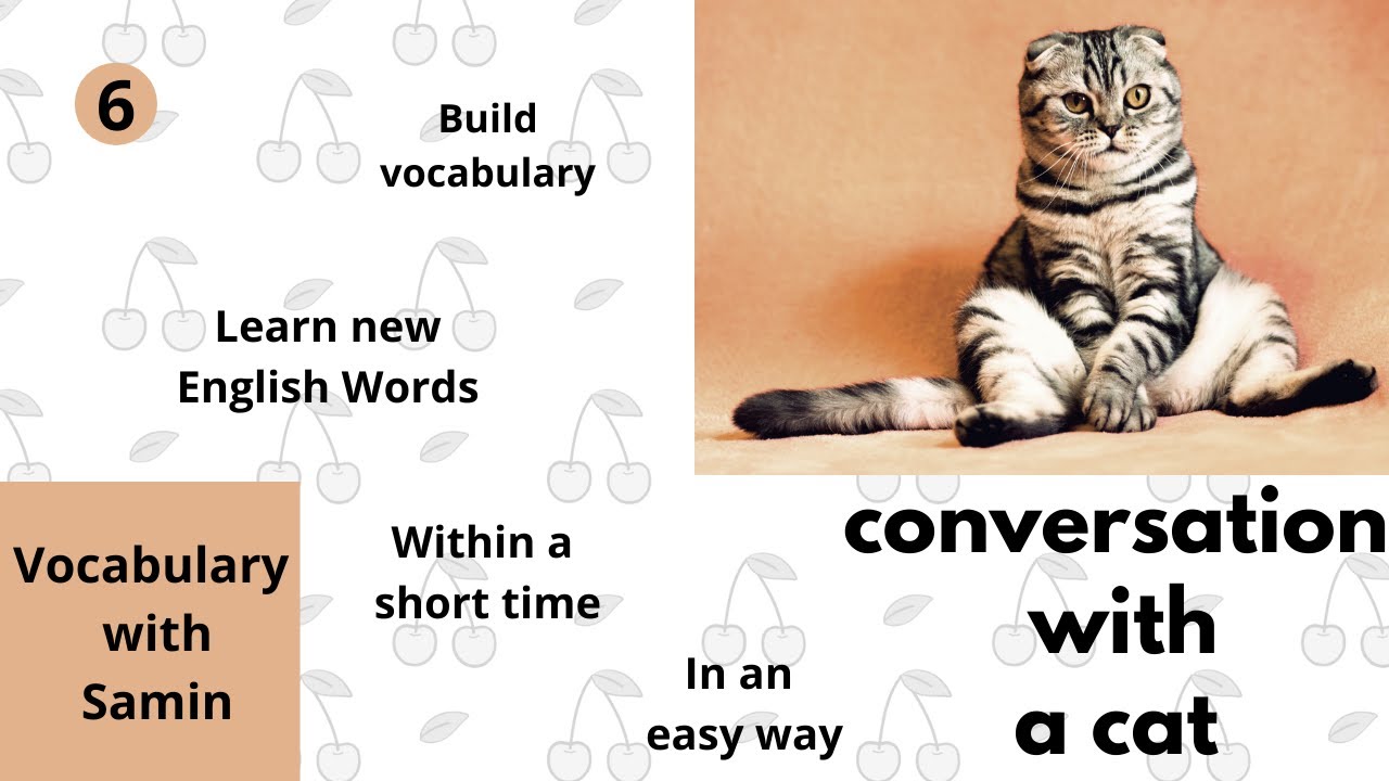 Learn New English Vocabulary Daily! Conversation with a Cat! # ...
