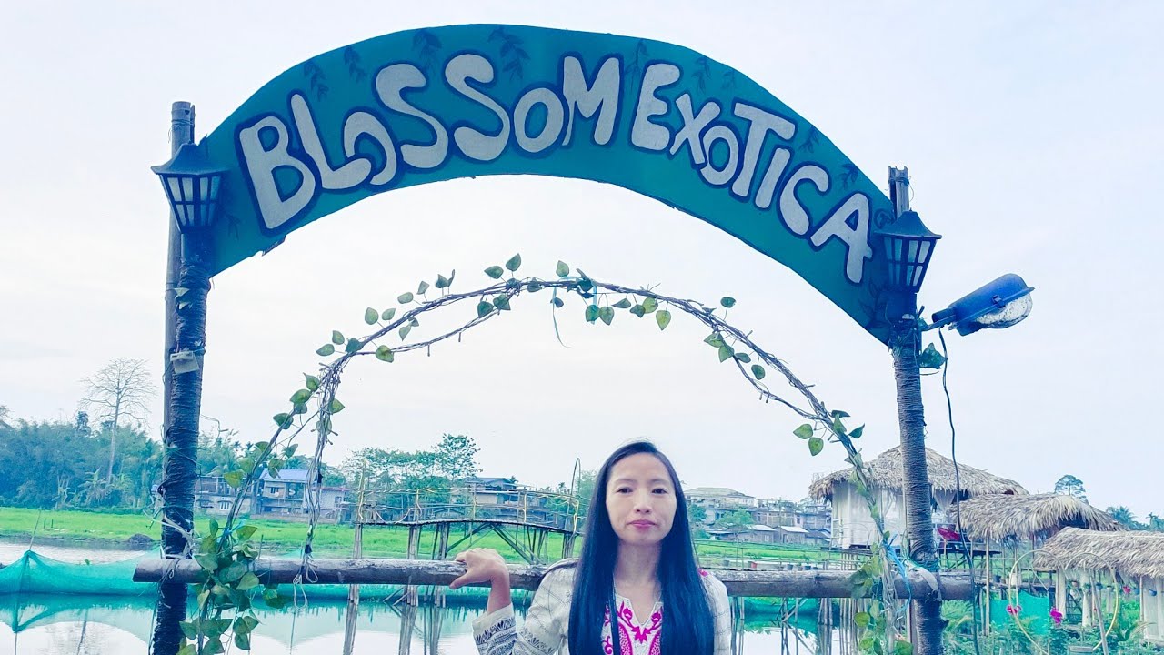 BLOSSOM EXOTICA Dibrugarh Assam YouTube