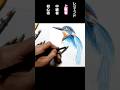色鉛筆画レベル別鳥の描き方 #イラスト #shorts