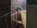 plumbing work