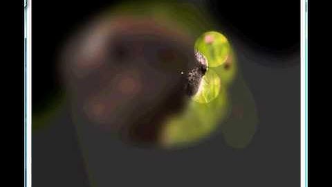 DirectCanvas multi-touch shader effects