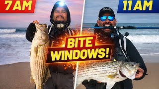 First Fish of 2026 Central Coast Striper limit