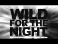 ASAP Rocky feat. Skrillex - Wild For The Night Clean