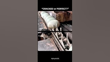 How Machines Spot Cracked Eggs Instantly🥚🤯| Egg Sorting Tech | #physics #science #knowledge #shorts