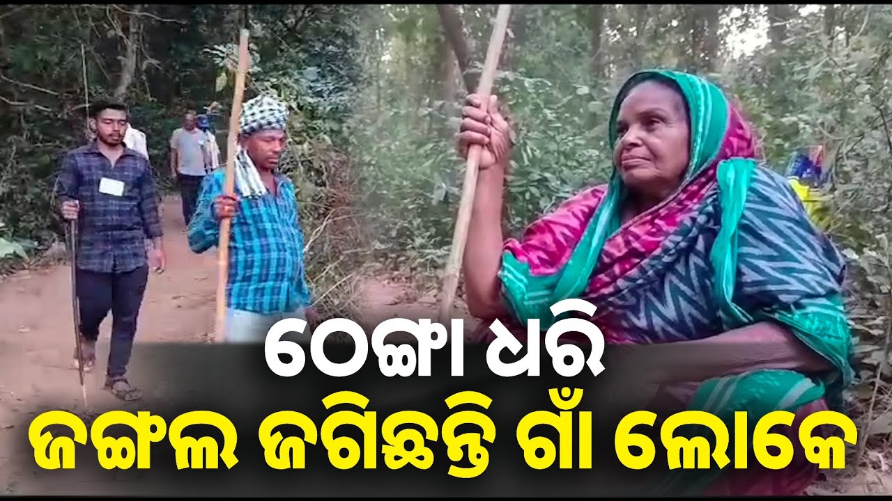 ଗାଁ ଜଙ୍ଗଲକୁ  ନିଆଁ ଦାଉରୁ ରକ୍ଷା କରିବା ପାଇଁ ଗାଁ ଲୋକଙ୍କ ଅଭିନବ ପ୍ରୟାସ, ଠେଙ୍ଗା ଧରି ଜଗିଛନ୍ତି ଜଙ୍ଗଲ