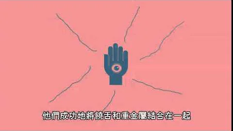 搖滾樂-非常簡短的歷史 中文翻譯 - 天天要聞