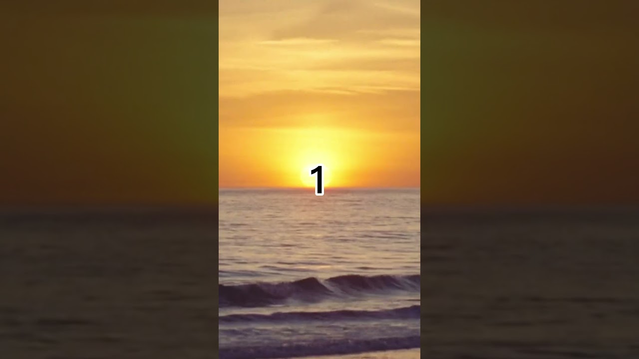 New Rosalia x Flamenco Type Beat - is out now! 