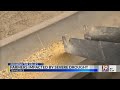 Growing the Valley: Farmers Impacted by Severe Drought | May 26, 2026 | News 19 at 4 p.m.
