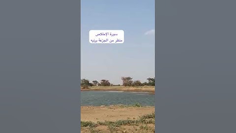 دحيم الحماد ١٤٤٥هـ سورة الإخلاص