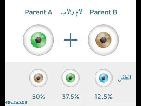 فيديو: هل يتحول لون الأطفال ذوي العيون الزرقاء إلى اللون البني؟