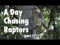 A Day of Raptor Photography - Part 1 - Wildlife Photography in Jackson Hole