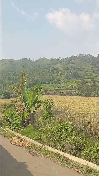 di bukit yang indah