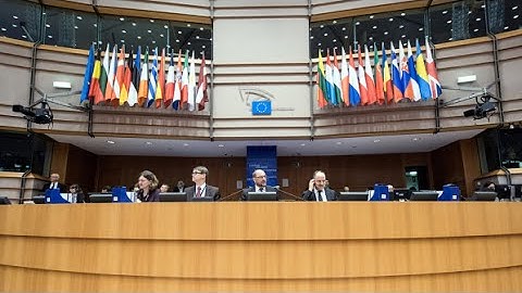 Mini-plenary zapping - February 2015