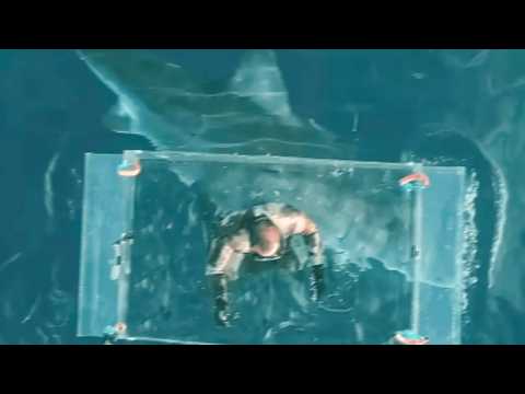 Great White Shark Mauls Tourist In Glass Cage Dive On July 5th 2025