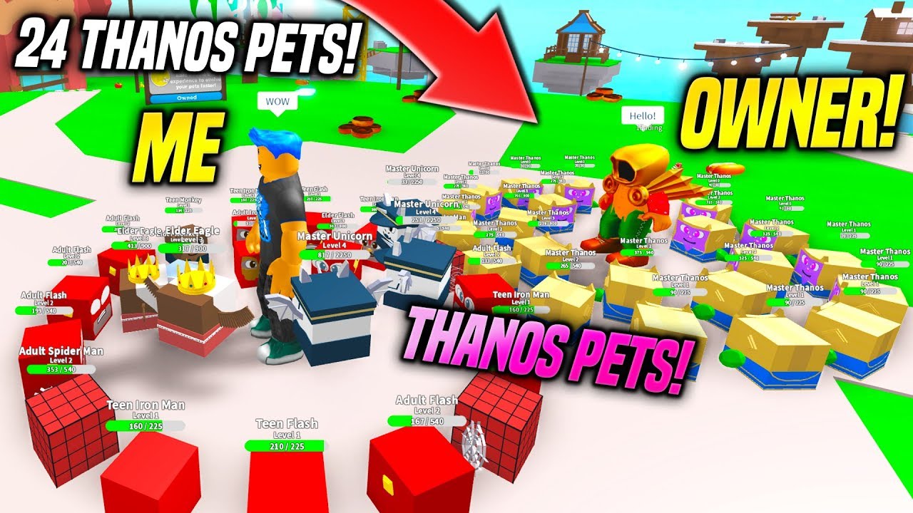 The Owner Helped Me Get The Thanos Pet In Pet Paradise Simulator Roblox Youtube - new pet paradise roblox