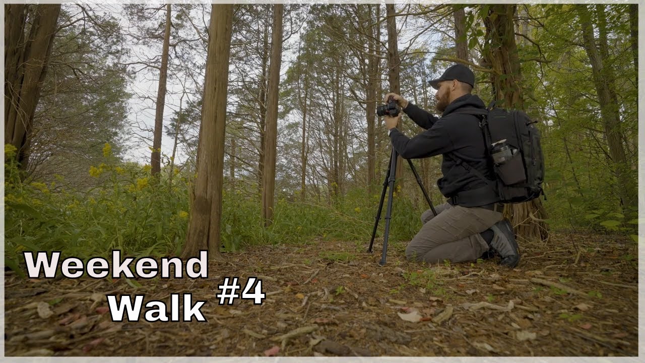 Weekend Walk 4 in Barrington, Rhode Island at Osamequin Nature Trail YouTube