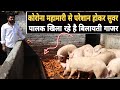 Pig farming faceing feed problem in lockdown | Pig farming in India | खिला रहे है बिलायती गाजर