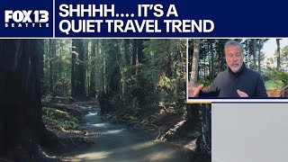 Quiet travel trend grows as more people seek digital detox vacations