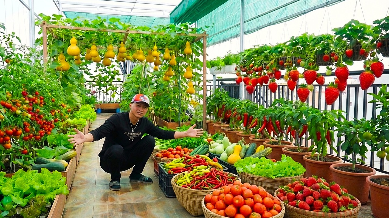 Идеи для огорода на крыше, которые заставят каждого захотеть начать свой собственный.