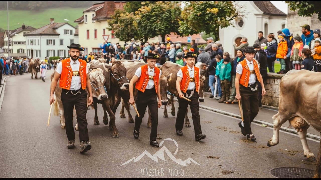 Viehschau Mosnang 2024