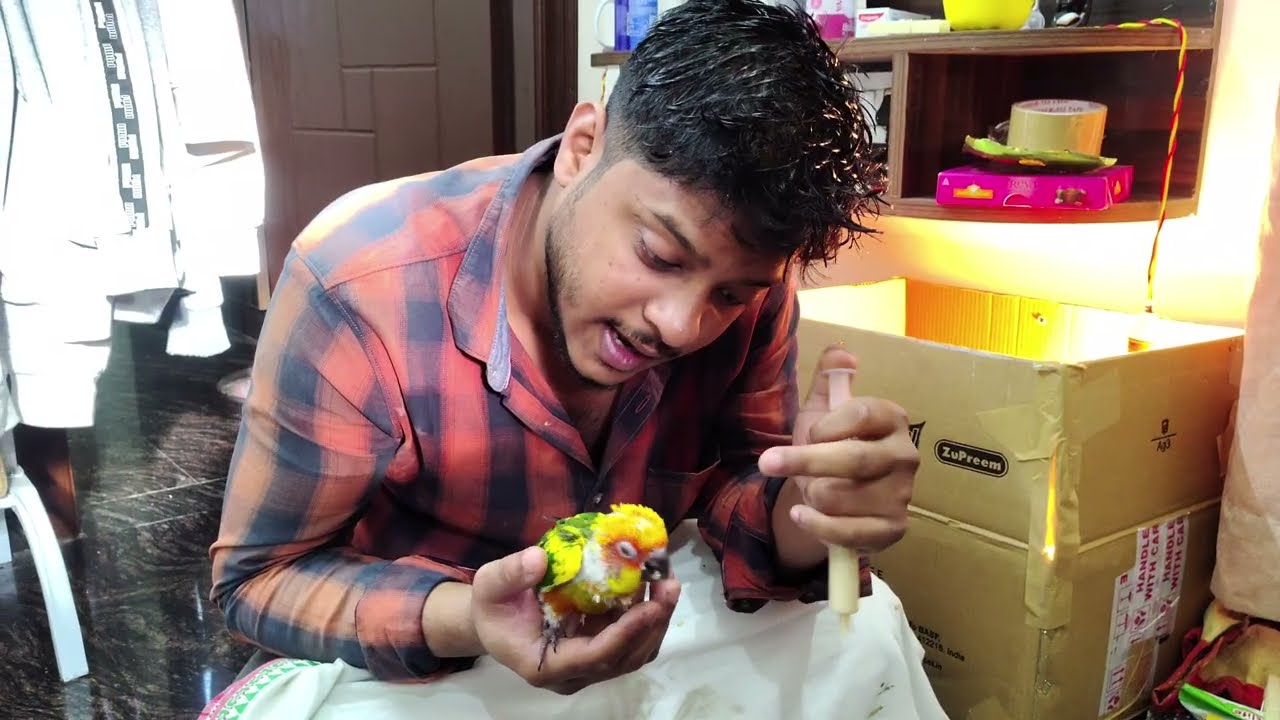 Me & Rio 🐦 | Baby Bird Daily Vlog 💛