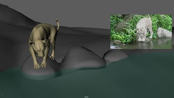 Maya realistic tiger animation blocking