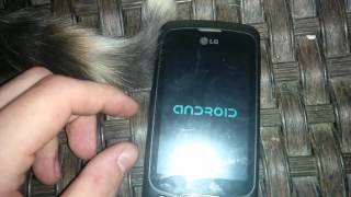 Soft Bricked LG Optimus One P500 screenshot 4