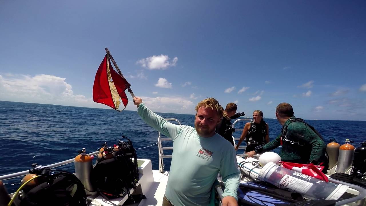 marine debris tracker Your Earth Is Blue - Get Into Your Sanctuary with Blue Star Dive Operators