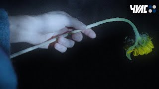 안녕에게 안녕을