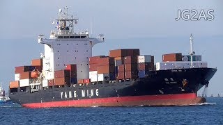 Shipspotting Japan - MV YM IMAGE コンテナ船 Container ship YANG MING 2018-NOV