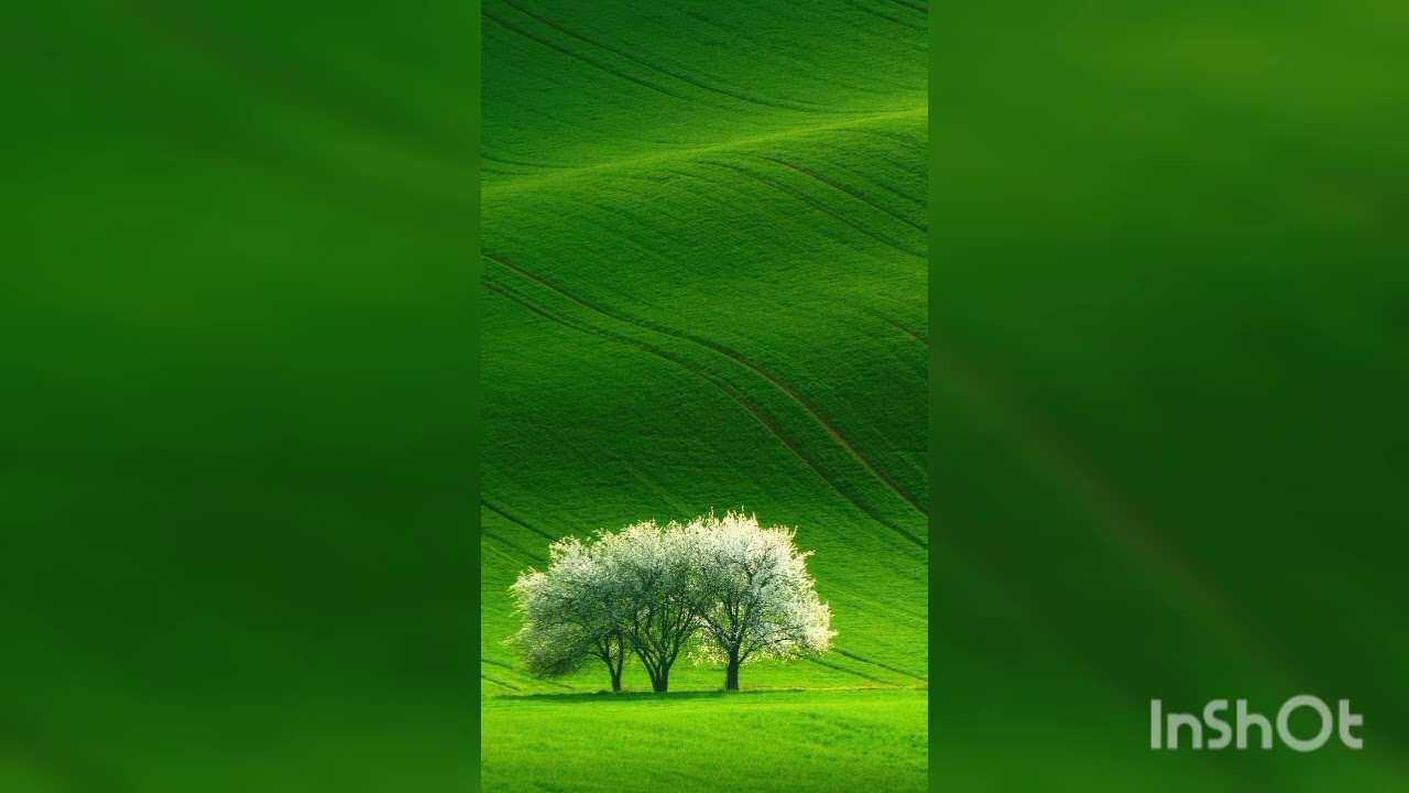 وسواس الغسل من الحيض أو الجنابة . رسالة مهمة الى اخت تتعذب 