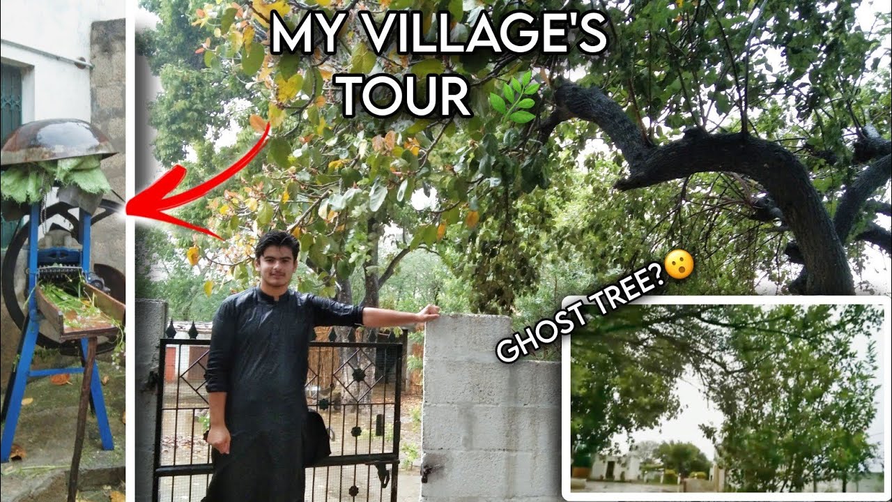 My Village's Tour 🌿 | Ghost Tree 😮 | I'M BACK! 😎 | Beauty of Nature 🍀 ...