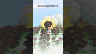 My island got blown up. #animalcrossing #nintendo