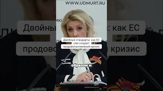 Двойные стандарты: как ЕС сам создаёт продовольственный кризис