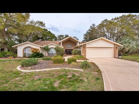 10463 VENTURA DRIVE, Spring Hill, FL home video tour