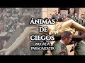 ▶️ CRISTO DE ÁNIMAS DE CIEGOS ✝️ LA BRIGADA PARACAIDISTA ✝️ SEMANA SANTA MÁLAGA