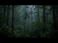 Cozy Forest Rain Ambience | Relaxing Sounds for Comfortable Sleep and Deep Rest 5