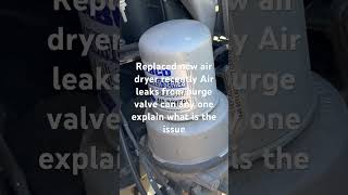 Air dryer leaking air on freightliner cascadia