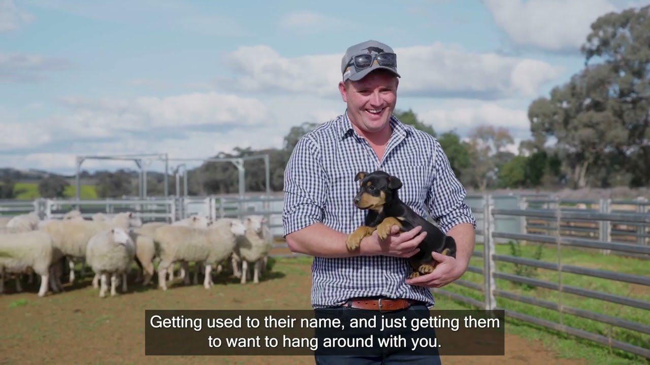 Black Hawk Working Dog Ambassador - Adrian Allbut