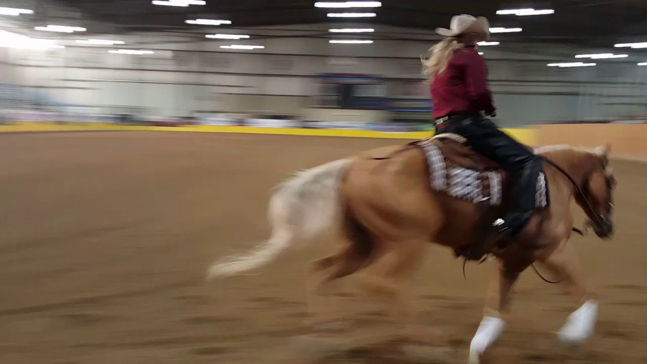 Low Roller Reining Classic and NW Affiliate Championship Non Pro Derby