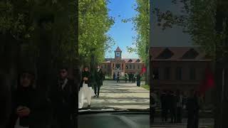 amar singh college srinagar ❤️🥀 screenshot 3